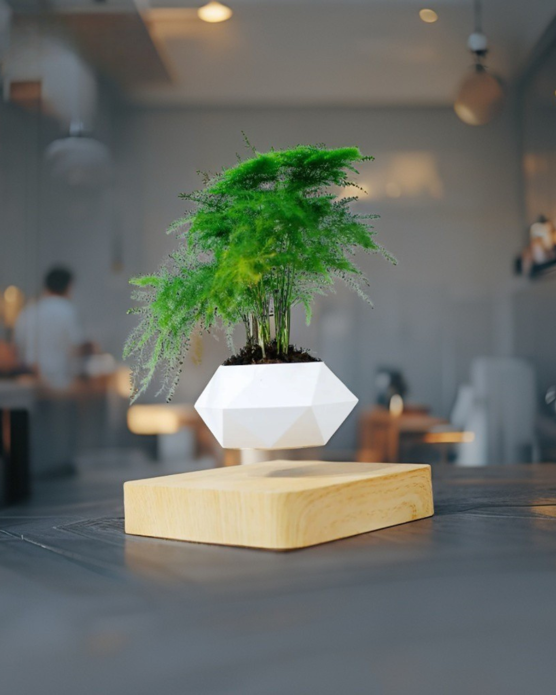 Fast Shipping Magnetic Suspension Flower Pot Levitating Air Bonsai Plant Succulent Patio Decoration Desktop Christmas Gift