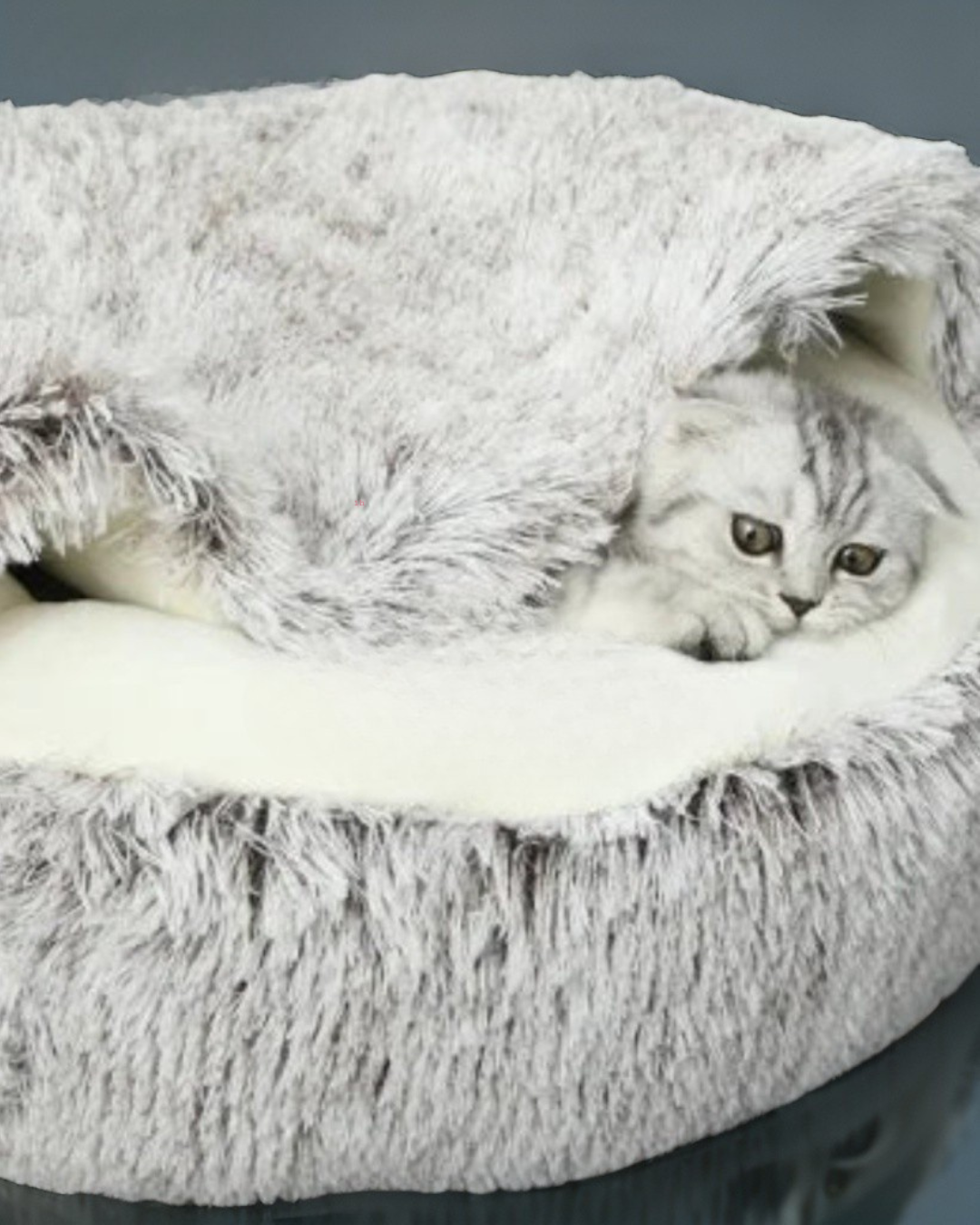 New Warm Dog Bed Cat