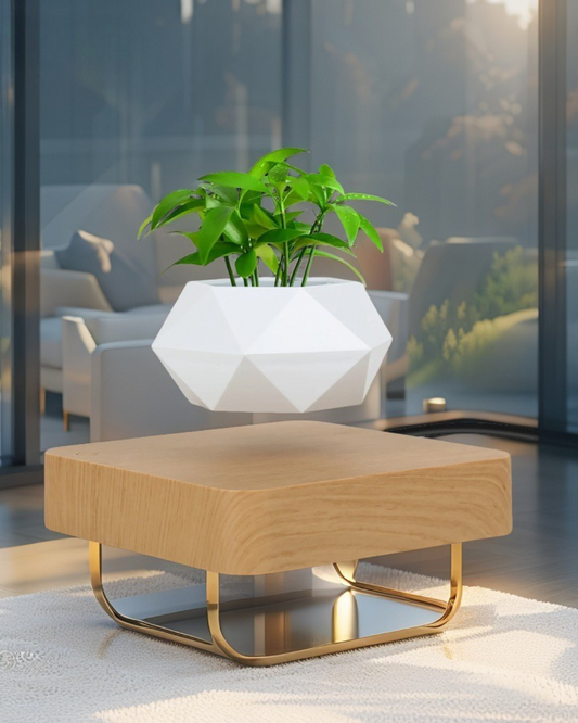 Fast Shipping Magnetic Suspension Flower Pot Levitating Air Bonsai Plant Succulent Patio Decoration Desktop Christmas Gift
