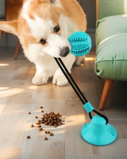 Dog Chew Ball Toys